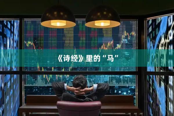 《诗经》里的“马”