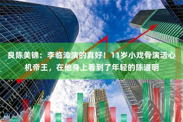 良陈美锦：李临漳演的真好！11岁小戏骨演活心机帝王，在他身上看到了年轻的陈道明