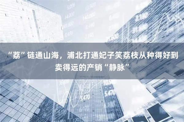 “荔”链通山海，浦北打通妃子笑荔枝从种得好到卖得远的产销“静脉”